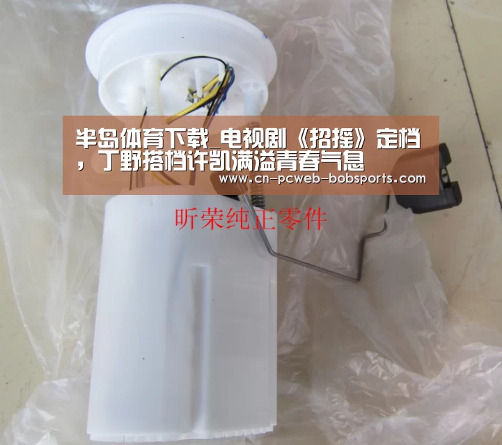半岛体育下载