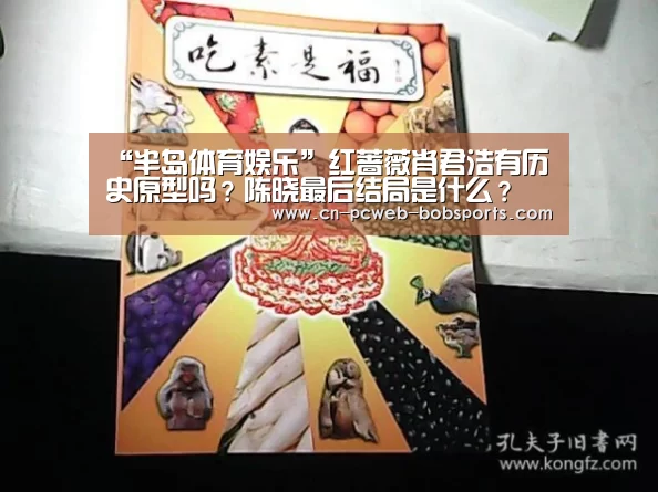 “半岛体育娱乐”红蔷薇肖君浩有历史原型吗？陈晓最后结局是什么？