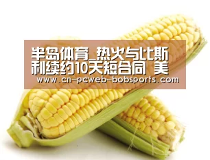 半岛体育_热火与比斯利续约10天短合同 美记：他已赢得信任