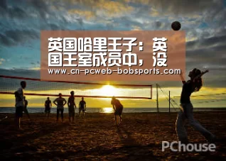 英国哈里王子：英国王室成员中，没人想成为国王或女王‘半岛体育官网’