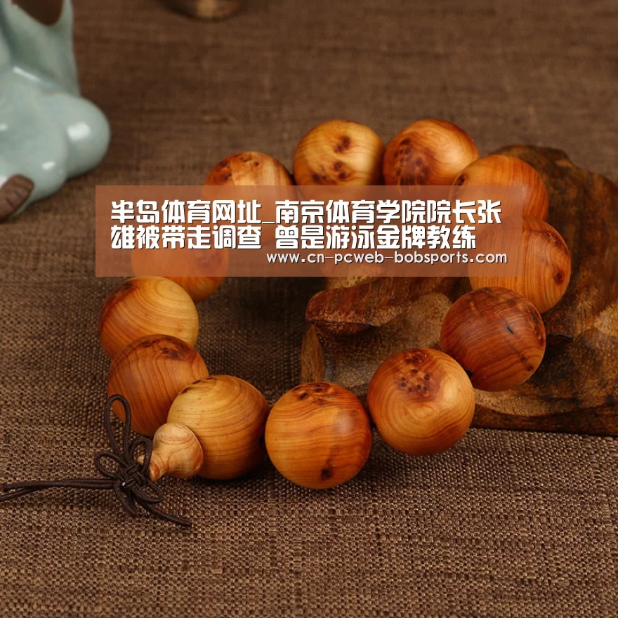 半岛体育注册