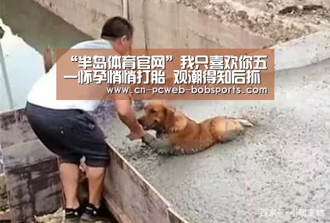 “半岛体育官网”我只喜欢你五一怀孕悄悄打胎 观潮得知后抓狂怒吼7个字泪崩(图3) 半岛体育