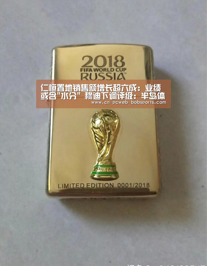 仁恒置地销售额增长超六成:业绩或含水分 穆迪下调评级:半岛体育娱乐(图2) 半岛体育注册