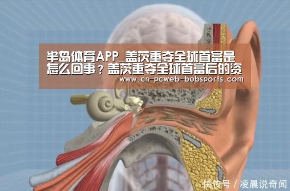 半岛体育APP_盖茨重夺全球首富是怎么回事？盖茨重夺全球首富后的资产是多少？
