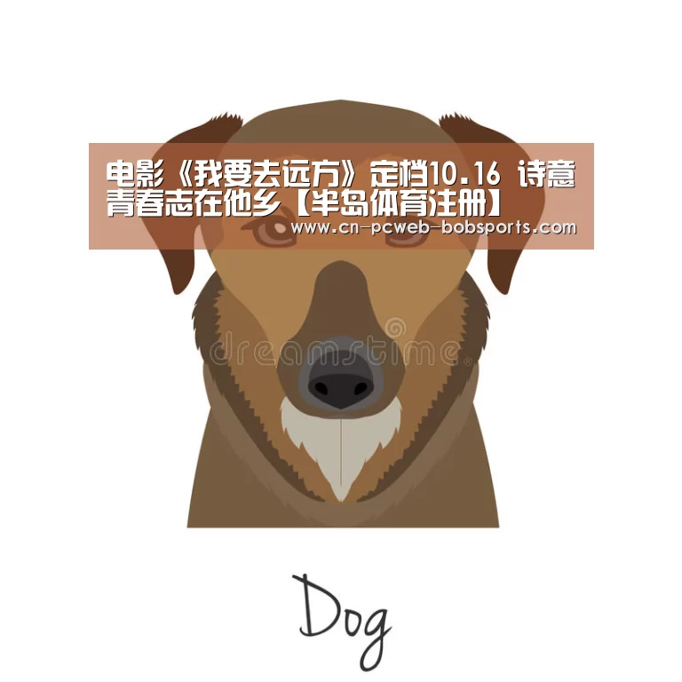 电影《我要去远方》定档10.16 诗意青春志在他乡【半岛体育注册】(图2) 半岛体育官网