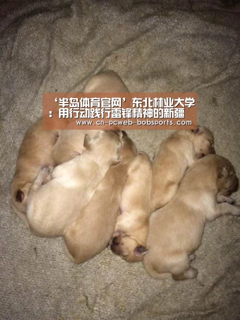 ‘半岛体育官网’东北林业大学：用行动践行雷锋精神的新疆姑娘