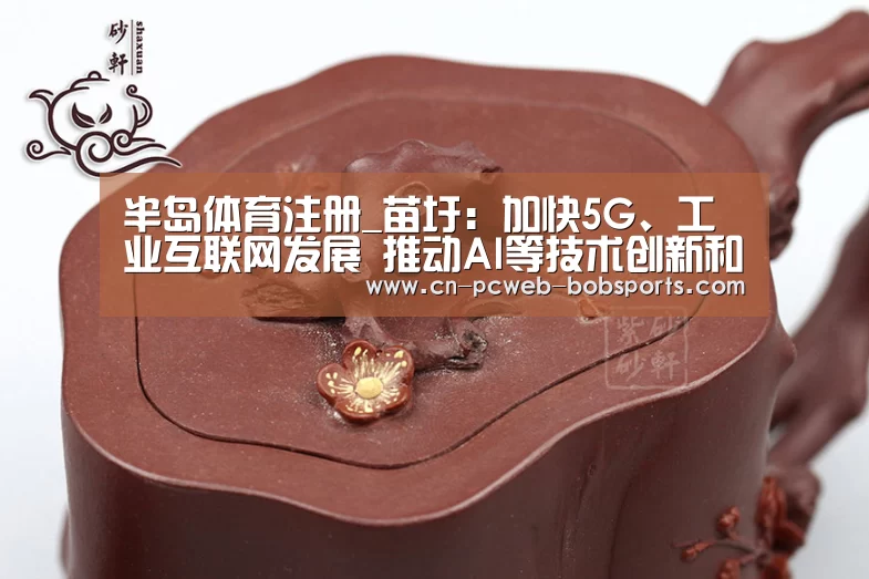 半岛体育注册_苗圩：加快5G、工业互联网发展 推动AI等技术创新和融合应用