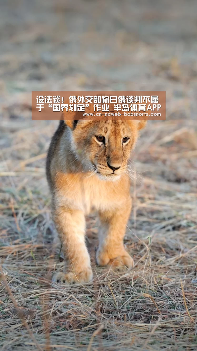 没法谈！俄外交部称日俄谈判不属于“国界划定”作业_半岛体育APP