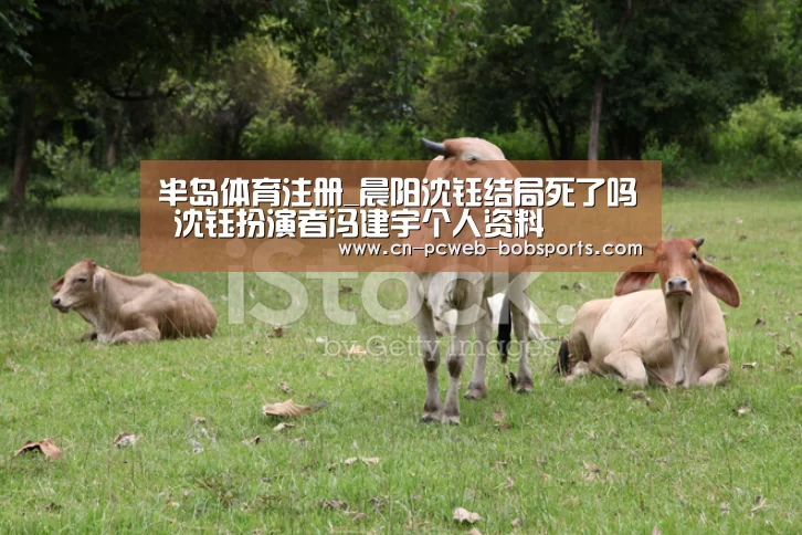 半岛体育注册_晨阳沈钰结局死了吗 沈钰扮演者冯建宇个人资料(图3) 半岛体育娱乐