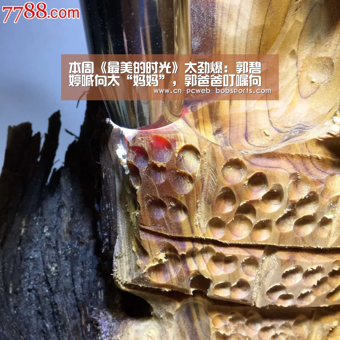 半岛体育娱乐