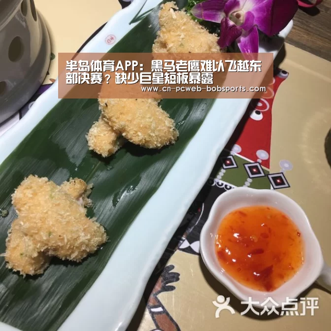 半岛体育APP：黑马老鹰难以飞越东部决赛？缺少巨星短板暴露