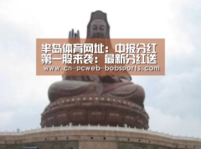 半岛体育APP